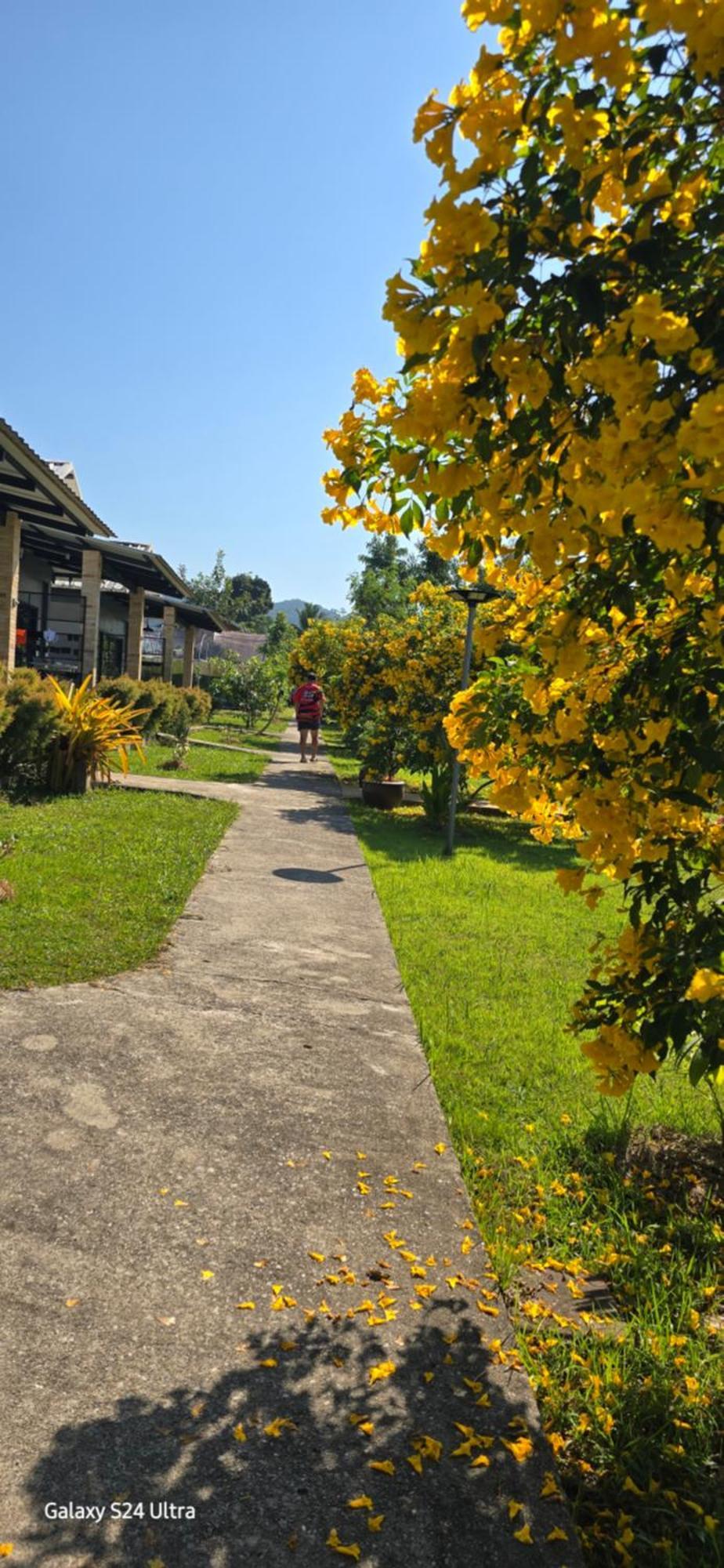 Wan Homestay Khao Lak Exterior photo